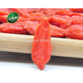 Ningxia goji bio goji berry à prix raisonnable